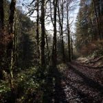 探索黄色仓库hsck net ebhsck cc的独特魅力与功能 0ywds