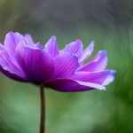 探索黄色漫画的魅力与文化影响力 4jq093a