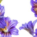 揭秘17c呱呱爆料黑料网的真实内幕与背后故事 7m1k6