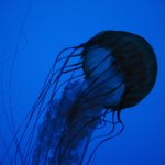 暗影猎人 美剧窝:探索神秘世界与角色背后的深层故事 823iwdr1