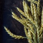 暗黑爆料在线吃瓜:揭秘娱乐圈那些不为人知的秘密与八卦 k45823