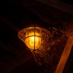 揭秘两女一杯背后的真实故事与影响 og5eltjkcy