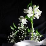 揭秘911八卦:有理爆料与无罪红领巾的背后故事 qwj2a