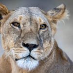 最新影视追剧软件:畅享高清影视剧,随时随地追剧不停歇! rjqa4s