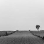 揭秘91黑料吃瓜反差背后的真实故事与影响 ww4jrl