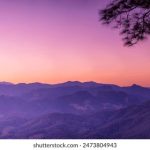 日剧TV App:畅享最新热门日剧,随时随地追剧无阻! xdlr28