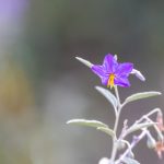 最新导航下载手机版的推荐与使用指南 y7oclq1